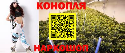 крисы Абинск