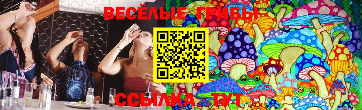 Амфетамин Ачхой-Мартан