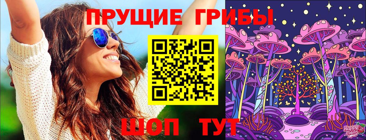 Галлюциногенные грибы GOLDEN TEACHER  где купить наркоту  Ачхой-Мартан  Псилоцибиновые грибы прущие грибы 